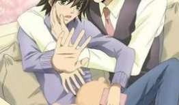 耽美动漫网站,探索激情与爱情的奇幻旅程